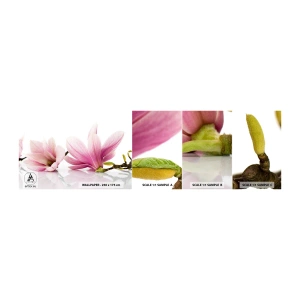 Fototapeta Próbka Samoprzylepna Deluxe Sticker - Delikatne jak powiew wiosny - Kwiat, Magnolia, Natura - 100x30 cm