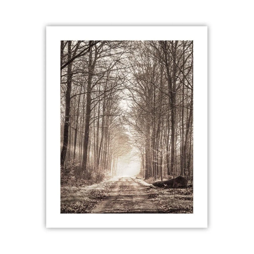 Plakat - Leśna katedra - 40x50 cm