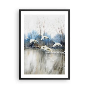 Plakat w czarnej ramie - Stado łabędzi unoszących się nad wodą w malarskim stylu - 50x70cm - Jak w baśni o dzikich łabędziach - Nowoczesna dekoracja ścienna do salonu i sypialni ARTTOR