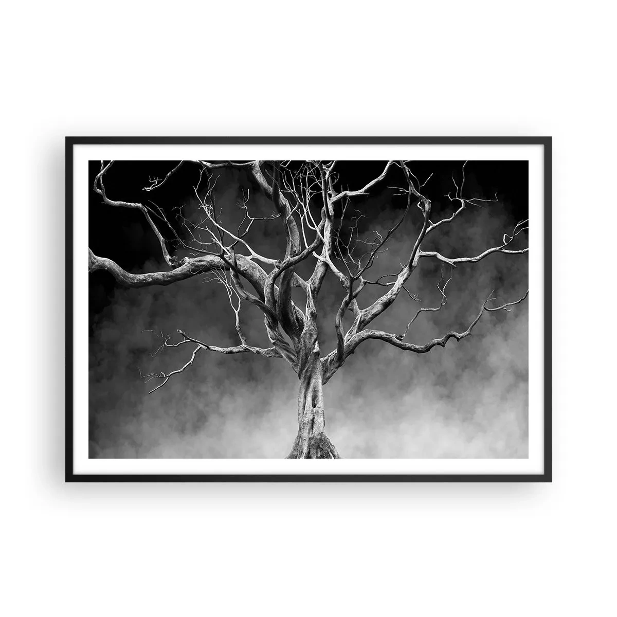 Plakat w czarnej ramie - Suche drzewo w czerni i bieli na tle mgły - 100x70cm - Pierwotne i święte - Nowoczesna dekoracja ścienna do salonu i sypialni ARTTOR