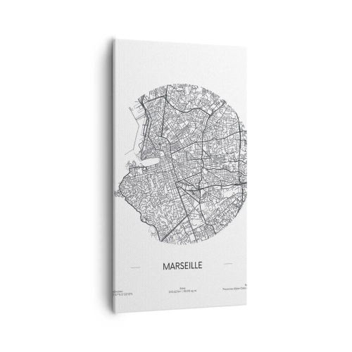 Obraz na płótnie - Anatomia Marsylii - 55x100 cm