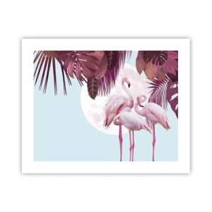 Plakat - Trzy ptasie gracje - 50x40 cm