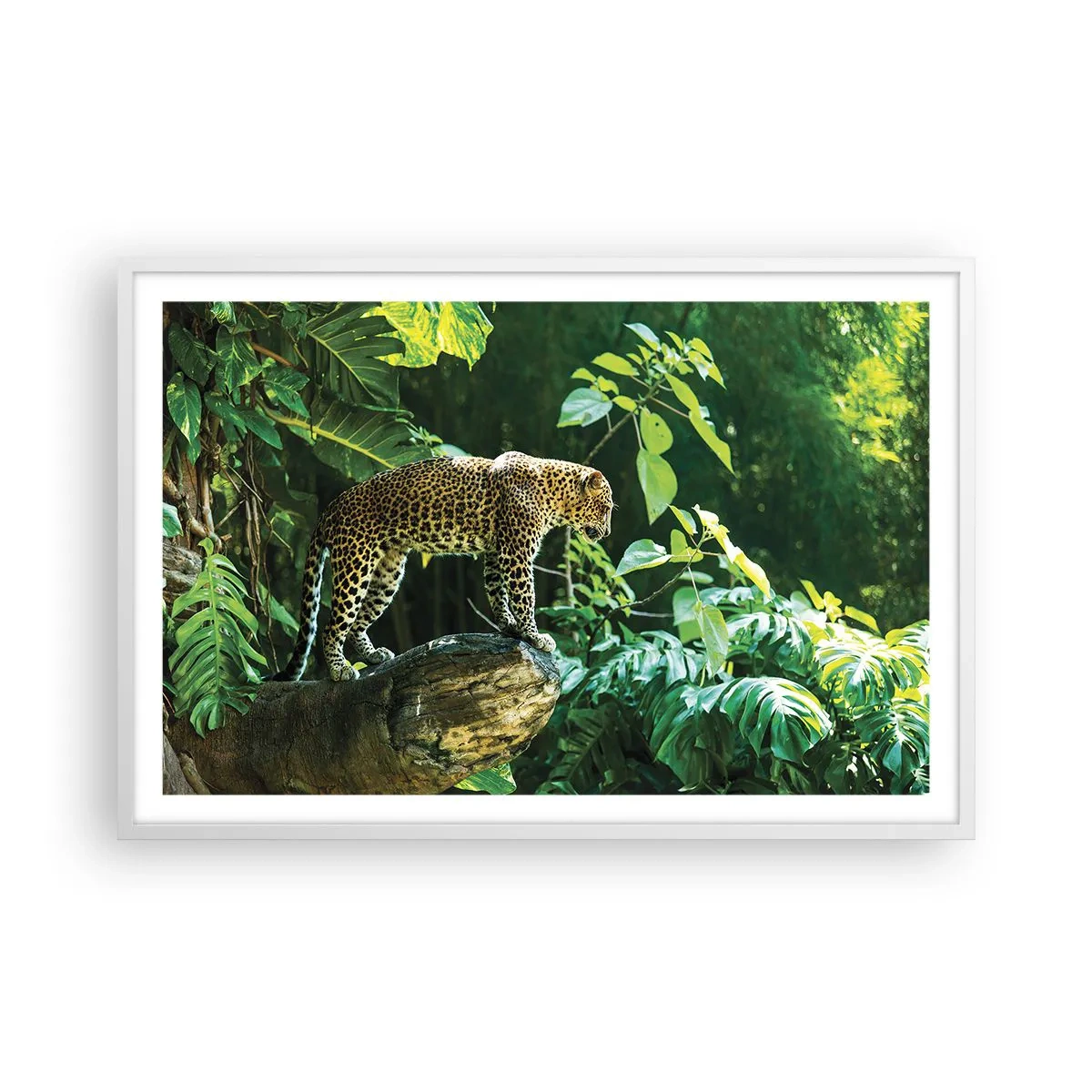 Plakat w białej ramie - Na łowy? - 91x61 cm