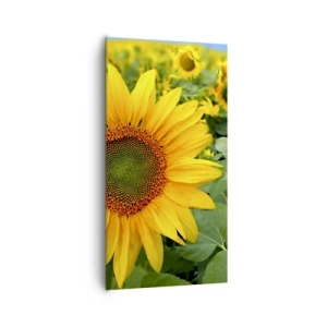 Obraz na płótnie - Rozgorzały setki słońc - 65x120 cm