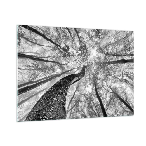 Obraz na szkle - Czarno-białe drzewa sfotografowane od dołu w kierunku nieba - 100x70cm - Wyścig do światła - Nowoczesna dekoracja ścienna do salonu, kuchni i sypialni ARTTOR