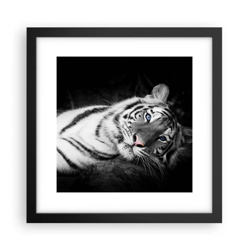 Plakat w czarnej ramie - Dzikość i spokój - 30x30 cm