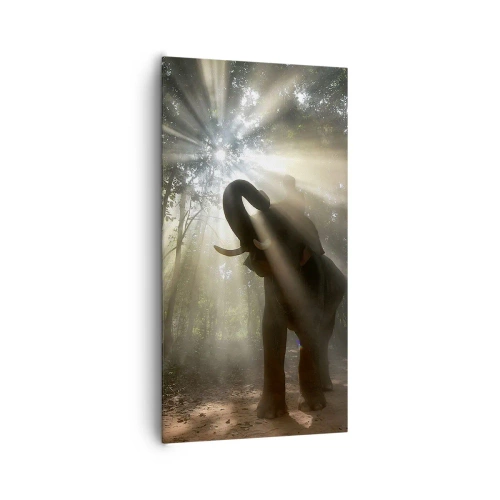 Obraz na płótnie - Pod szczęśliwą gwiazdą - 65x120 cm