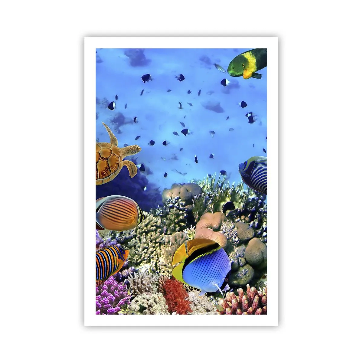 Plakat - I co my wiemy o życiu... - 61x91 cm