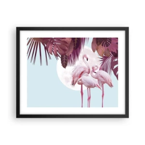Plakat w czarnej ramie - Trzy ptasie gracje - 50x40 cm