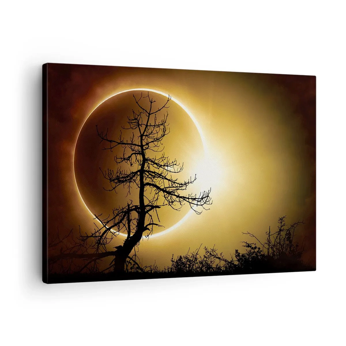 Obraz na płótnie - Zaćmienie słońca z sylwetką drzewa na pierwszym planie - 70x50cm - Całkowite zaćmienie - Nowoczesna dekoracja ścienna do salonu i sypialni ARTTOR