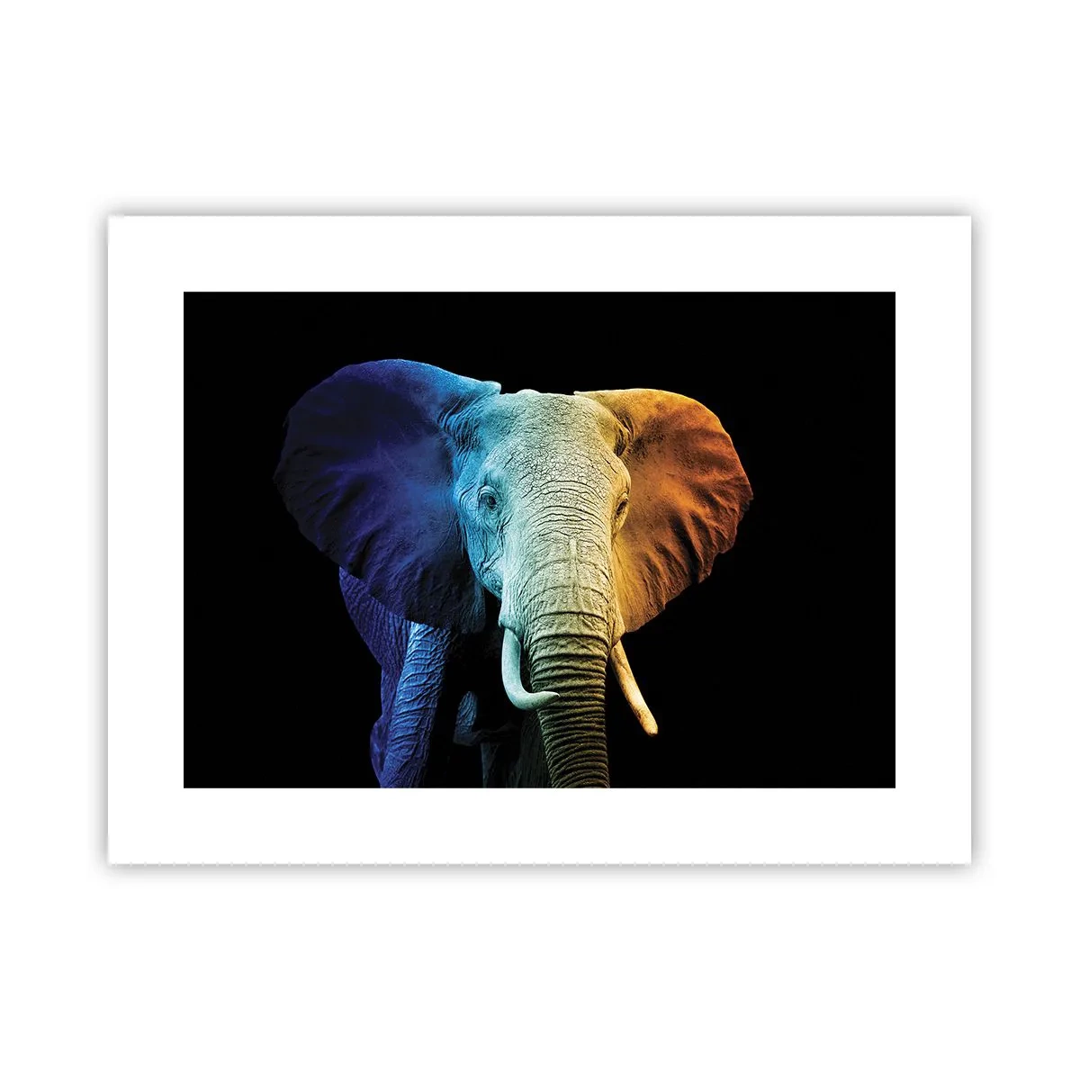 Plakat - Ekscentryk, nie dziwak - 40x30 cm