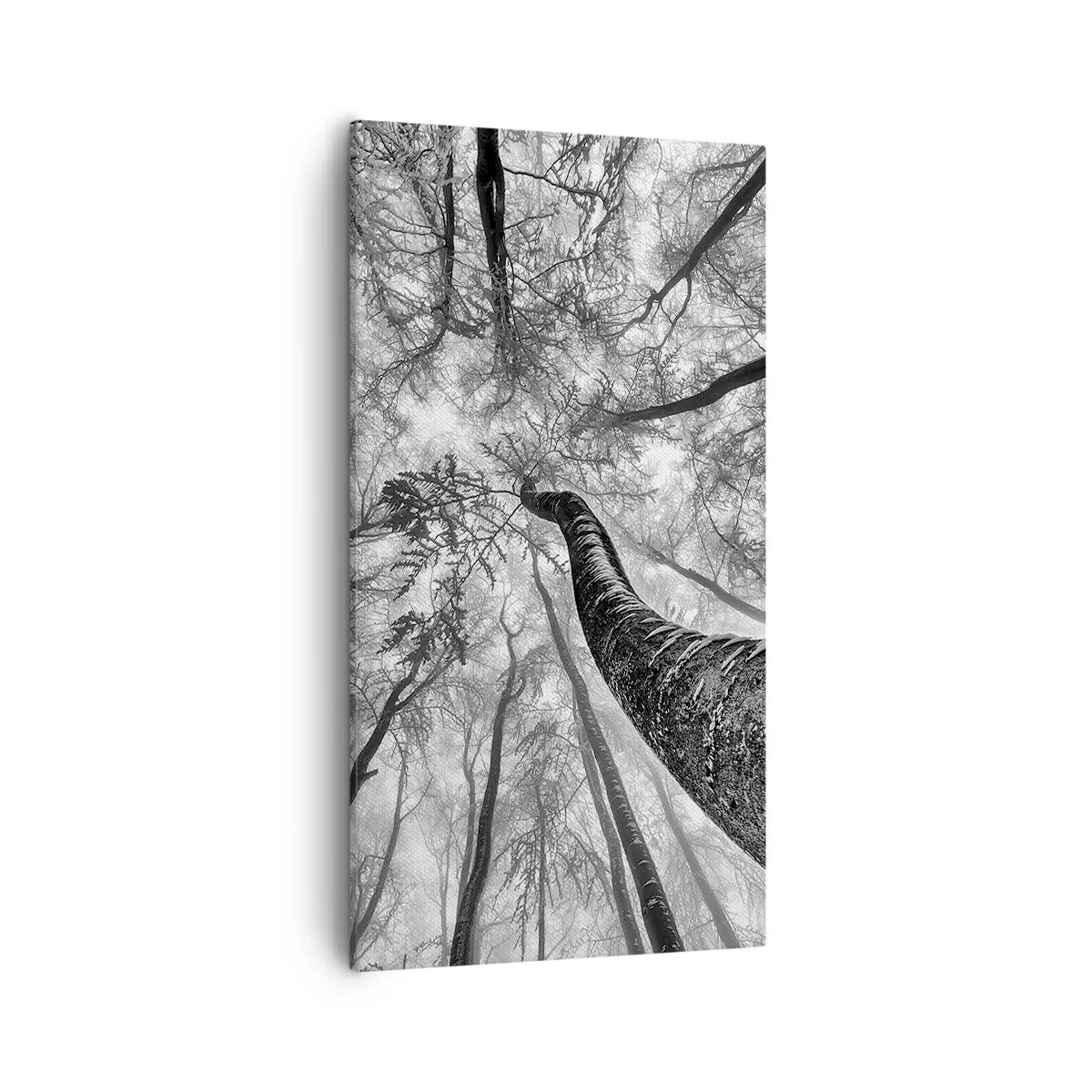 Obraz na płótnie - Wyścig do światła - 55x100 cm