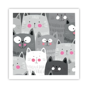 Plakat - Koci świat - 60x60 cm