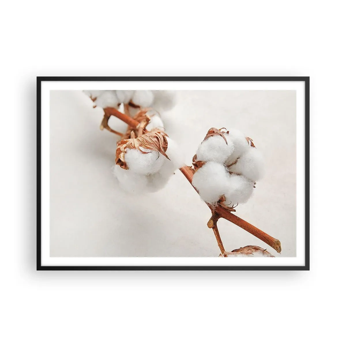Plakat w czarnej ramie - Gałązka bawełny na subtelnym tle - 100x70cm - Tylko tulić - Nowoczesna dekoracja ścienna do salonu i sypialni ARTTOR