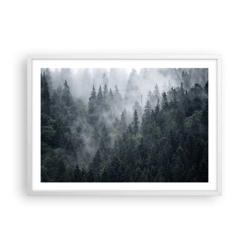 Plakat w białej ramie - Leśny świt - 70x50 cm