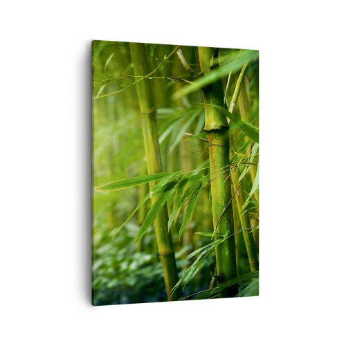 Obraz na płótnie - Zielone łodygi bambusa w naturalnym otoczeniu - 50x70cm - Poznać zieleń samą w sobie - Nowoczesna dekoracja ścienna do salonu, kuchni i sypialni ARTTOR