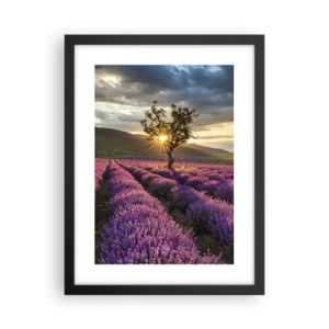 Plakat w czarnej ramie - Aromat w kolorze lila - 30x40 cm