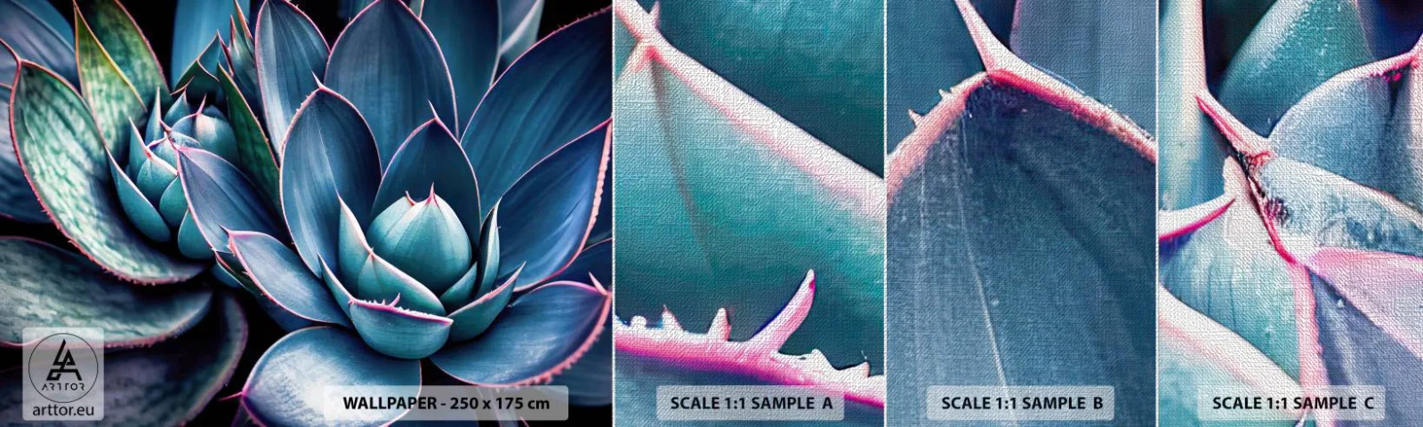 Fototapeta Próbka Premium Canvas - Witalna siła - Kwiaty, Botanika, Sukulenty - 100x30 cm