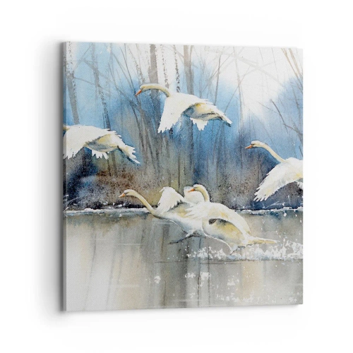 Obraz na płótnie - Jak w baśni o dzikich łabędziach - 70x70 cm