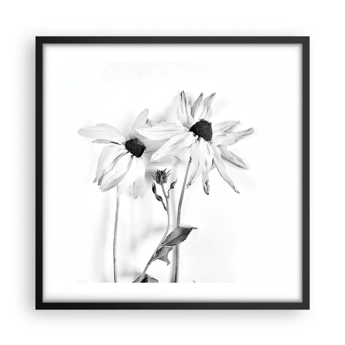 Plakat w czarnej ramie - Nikt nie chce być sam - 50x50 cm