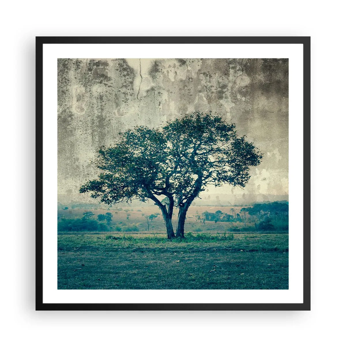 Plakat w czarnej ramie - Jabłoń na błękitnym błoniu? - 60x60 cm