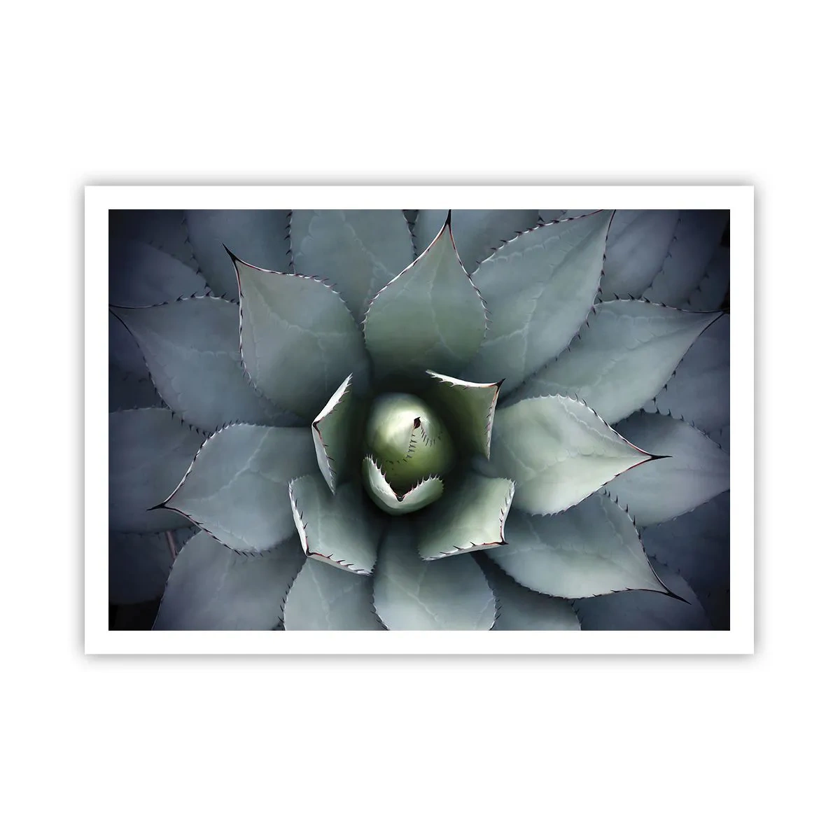 Plakat - Zbliżenie na rozetę agawy w delikatnych odcieniach zieleni - 100x70cm - Wabi i przestrzega - Nowoczesna dekoracja ścienna do salonu i sypialni ARTTOR