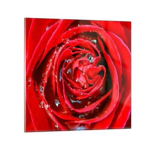 Obraz na szkle - W kroplach rosy - 40x40 cm