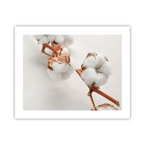 Plakat - Tylko tulić - 50x40 cm