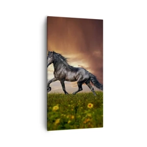 Obraz na płótnie - Czarny książę - 55x100 cm