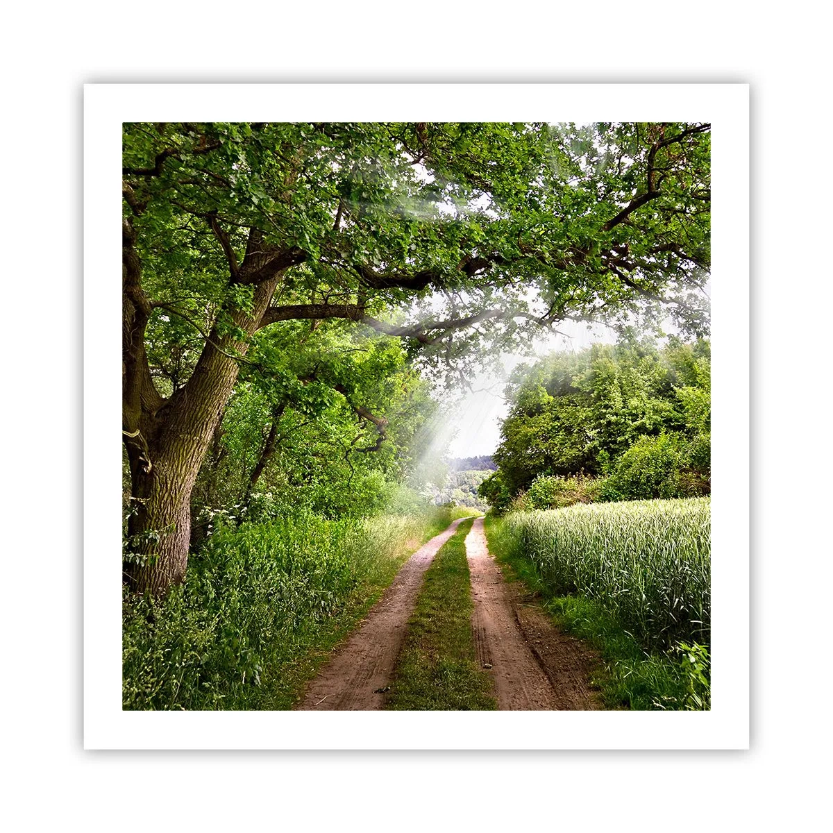 Plakat - Et in Arcadia ego - 60x60 cm