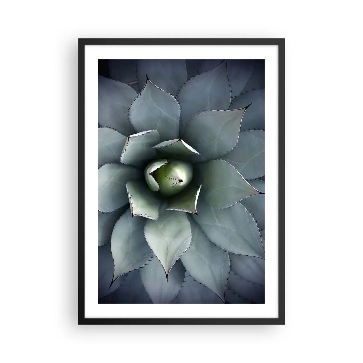 Plakat w czarnej ramie - Zbliżenie na symetryczne liście sukulenta w odcieniach zieleni - 50x70cm - Wabi i przestrzega - Nowoczesna dekoracja ścienna do salonu i sypialni ARTTOR