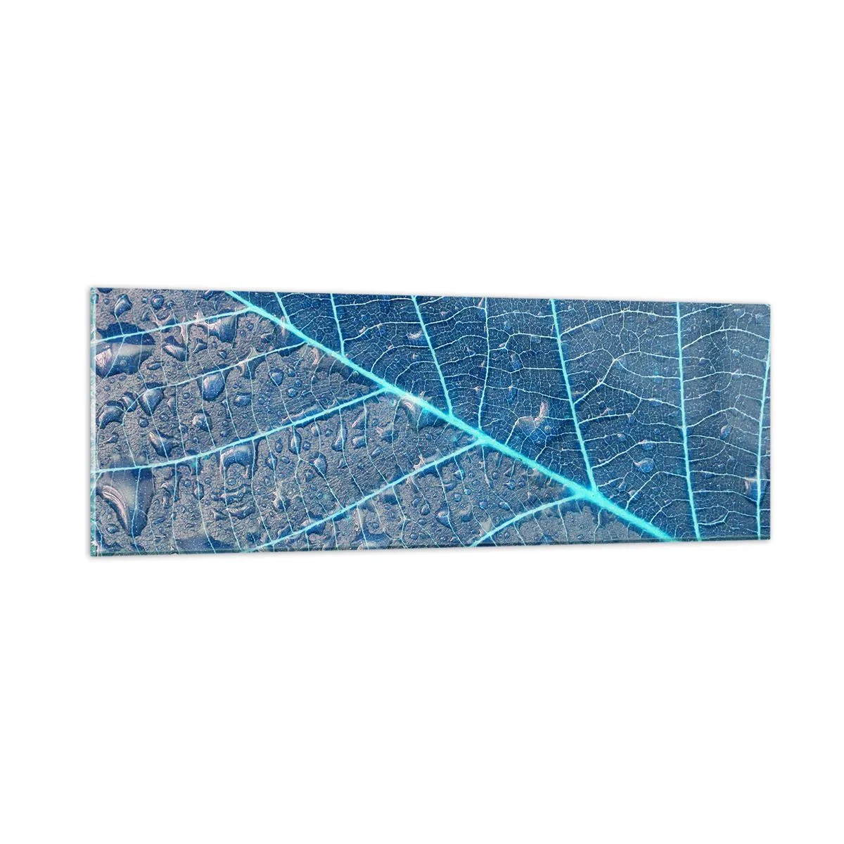 Obraz na szkle - Życie w błękicie - 90x30 cm