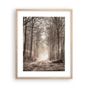 Plakat w ramie jasny dąb - Leśna katedra - 40x50 cm