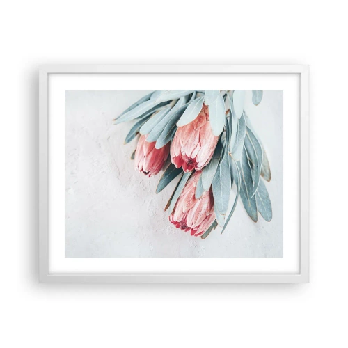 Plakat w białej ramie - Zawstydzone własną urodą - 50x40 cm