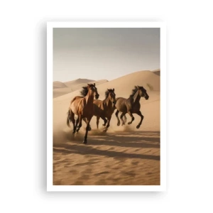 Plakat - Wolne jak wiatr - 70x100 cm