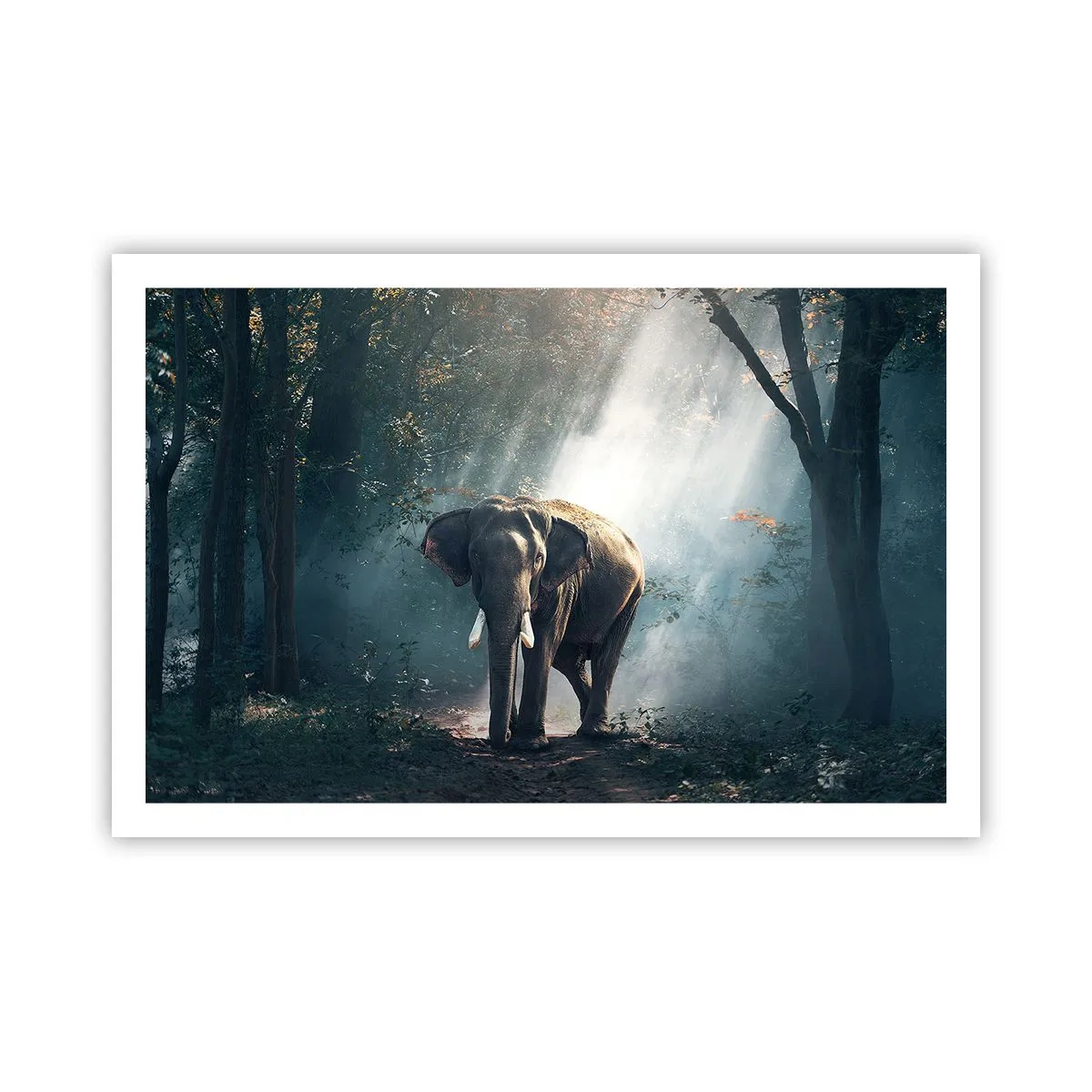 Plakat - Spokojna przechadzka - 91x61 cm