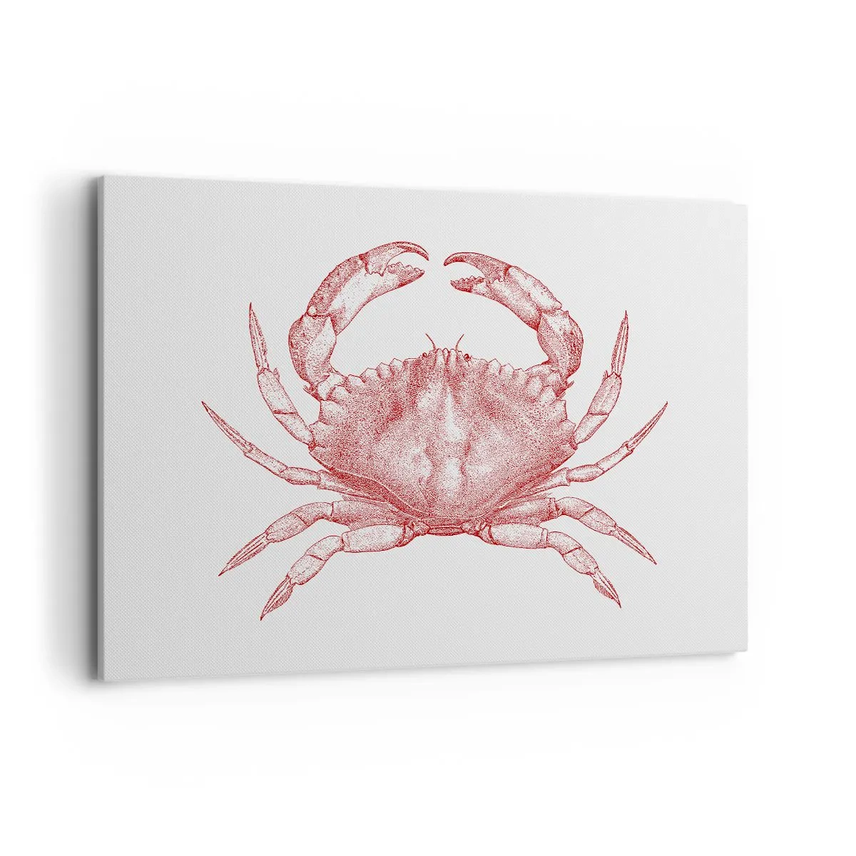 Obraz na płótnie - Rysunek kraba w czerwonym odcieniu - 120x80cm - Krab nad kraby - Nowoczesna dekoracja ścienna do salonu, kuchni i sypialni ARTTOR
