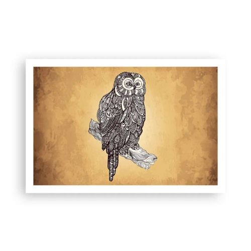 Plakat - Misterne ornamenty mądrości - 91x61 cm