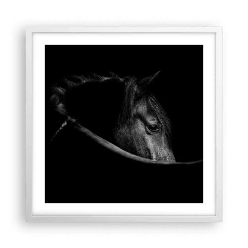 Plakat w białej ramie - Czarny książę - 50x50 cm