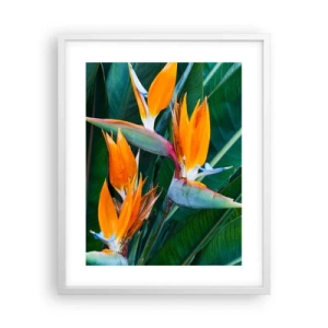 Plakat w białej ramie - Czy to kwiat, czy to ptak? - 40x50 cm
