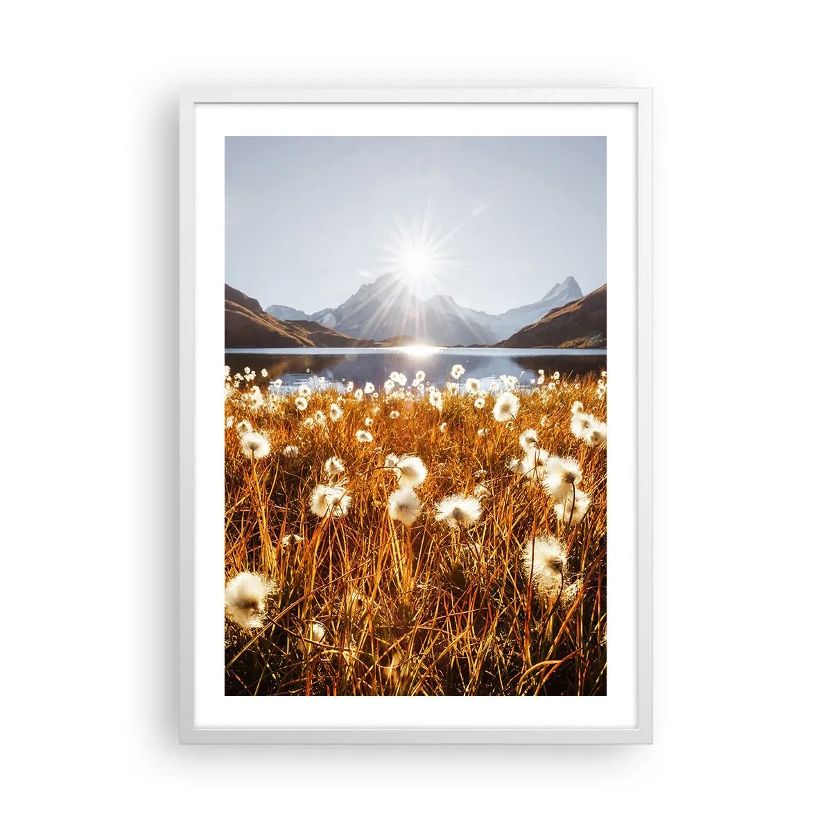 Plakat w białej ramie - Twardość skał, miękkość traw - 50x70 cm