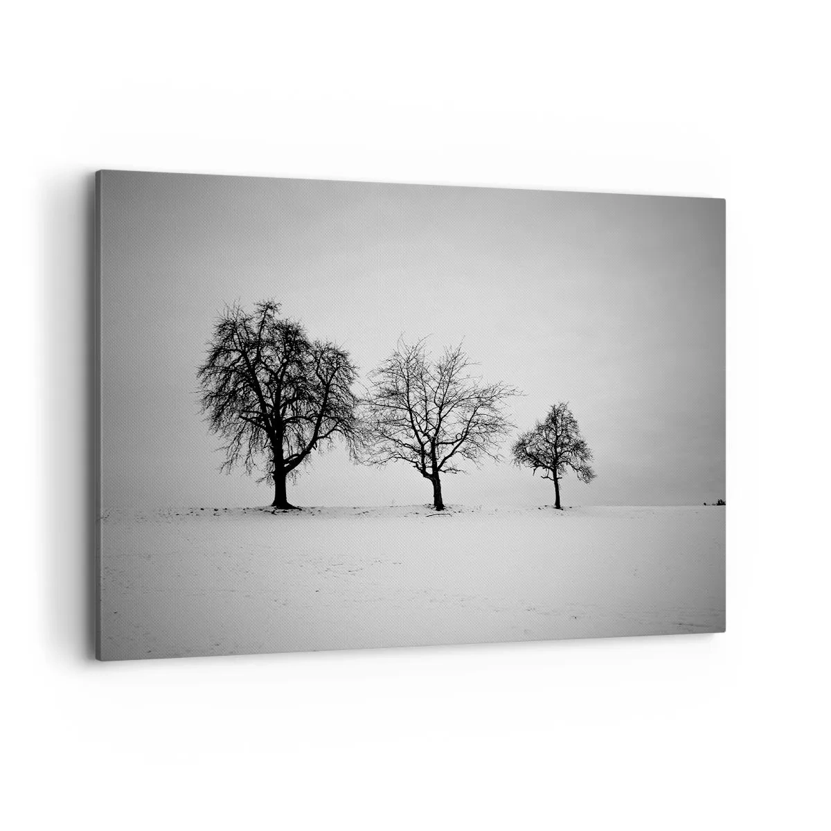 Obraz na płótnie - Trzy drzewa na zaśnieżonym polu w monochromatycznym stylu - 100x70cm - O czym śnią? - Nowoczesna dekoracja ścienna do salonu, kuchni i sypialni ARTTOR