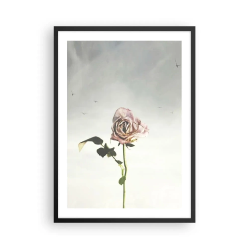 Plakat w czarnej ramie - Subtelna róża na tle delikatnego nieba - 50x70cm - Powitanie wiosny - Nowoczesna dekoracja ścienna do salonu i sypialni ARTTOR