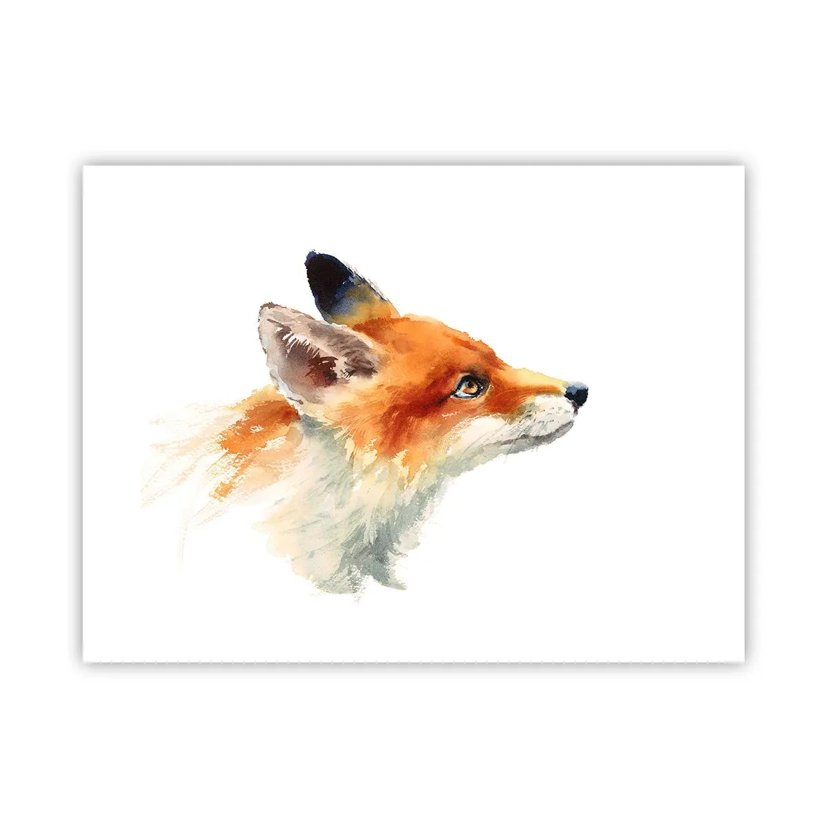 Plakat - Ostrożności nigdy za wiele - 40x30 cm