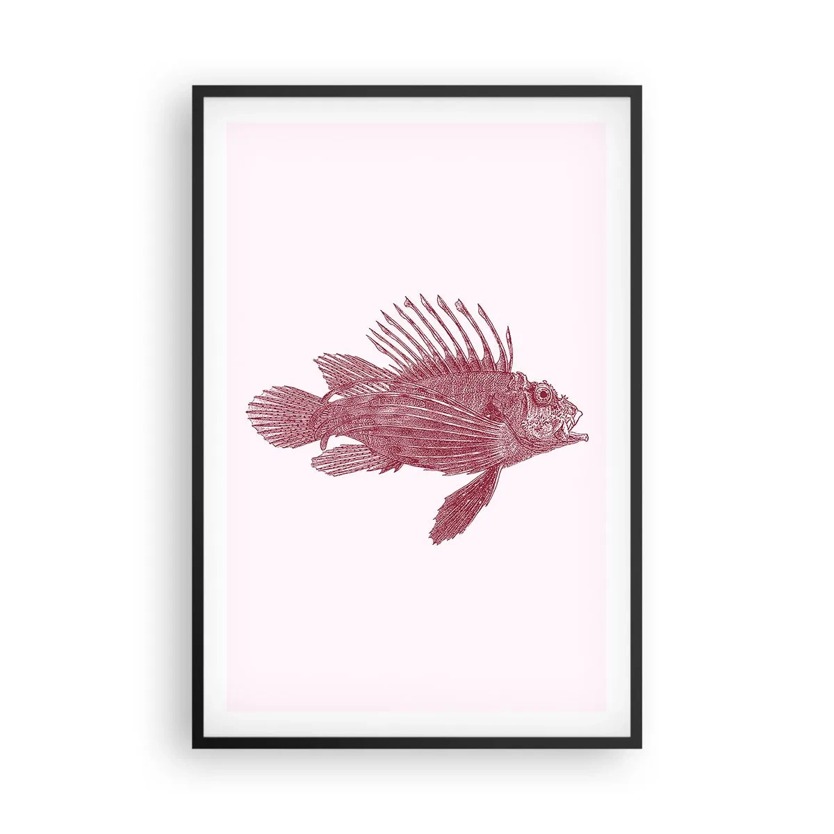 Plakat w czarnej ramie - Mieszkanka egzotycznych wód - 61x91 cm