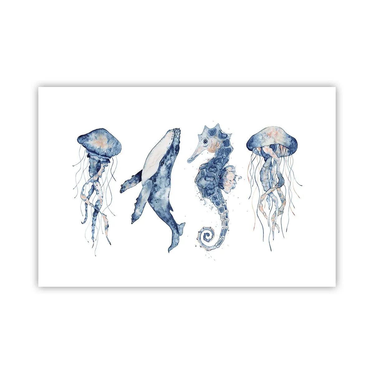 Plakat - Morskie dziwy - 91x61 cm