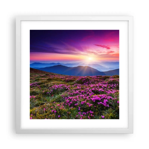 Plakat w białej ramie - Ziół zapachniały świeże pęki od niw - 40x40 cm