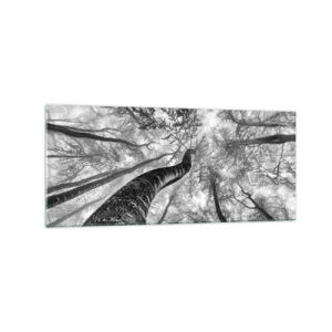 Obraz na szkle - Perspektywa drzew w lesie widzianych od dołu w odcieniach szarości - 120x50cm - Wyścig do światła - Nowoczesna dekoracja ścienna do salonu i sypialni ARTTOR