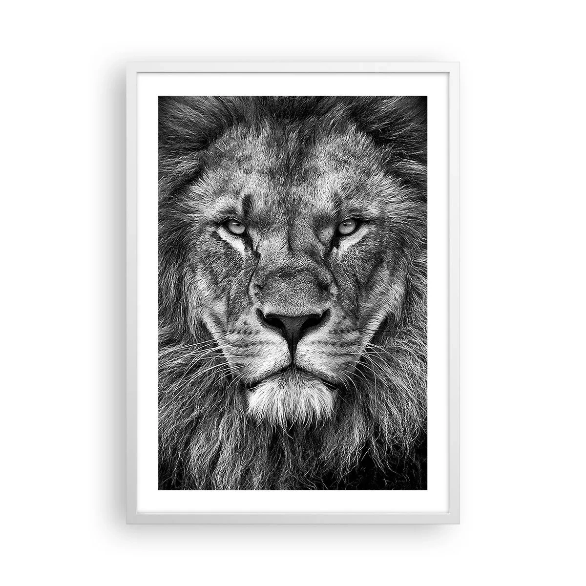 Plakat w białej ramie - W stroju koronacyjnym - 50x70 cm