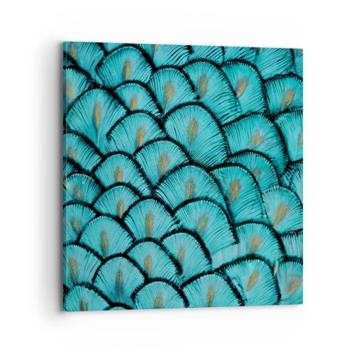 Obraz na płótnie - Wielka gala piór - 70x70 cm